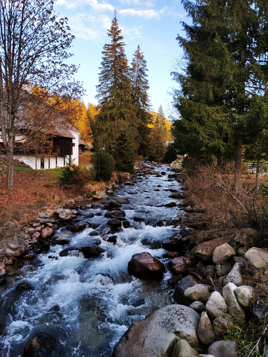 a river with rocks and trees